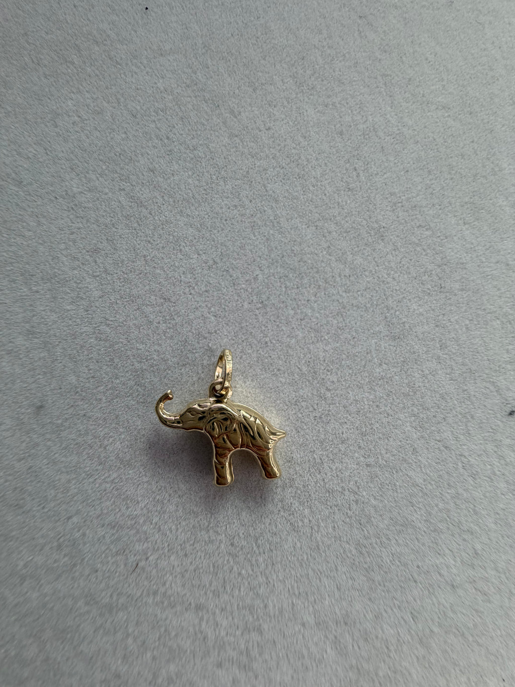 🐘 dije de elefante