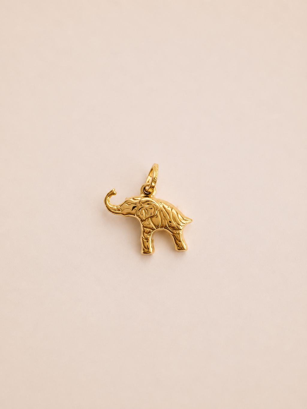 🐘 dije de elefante