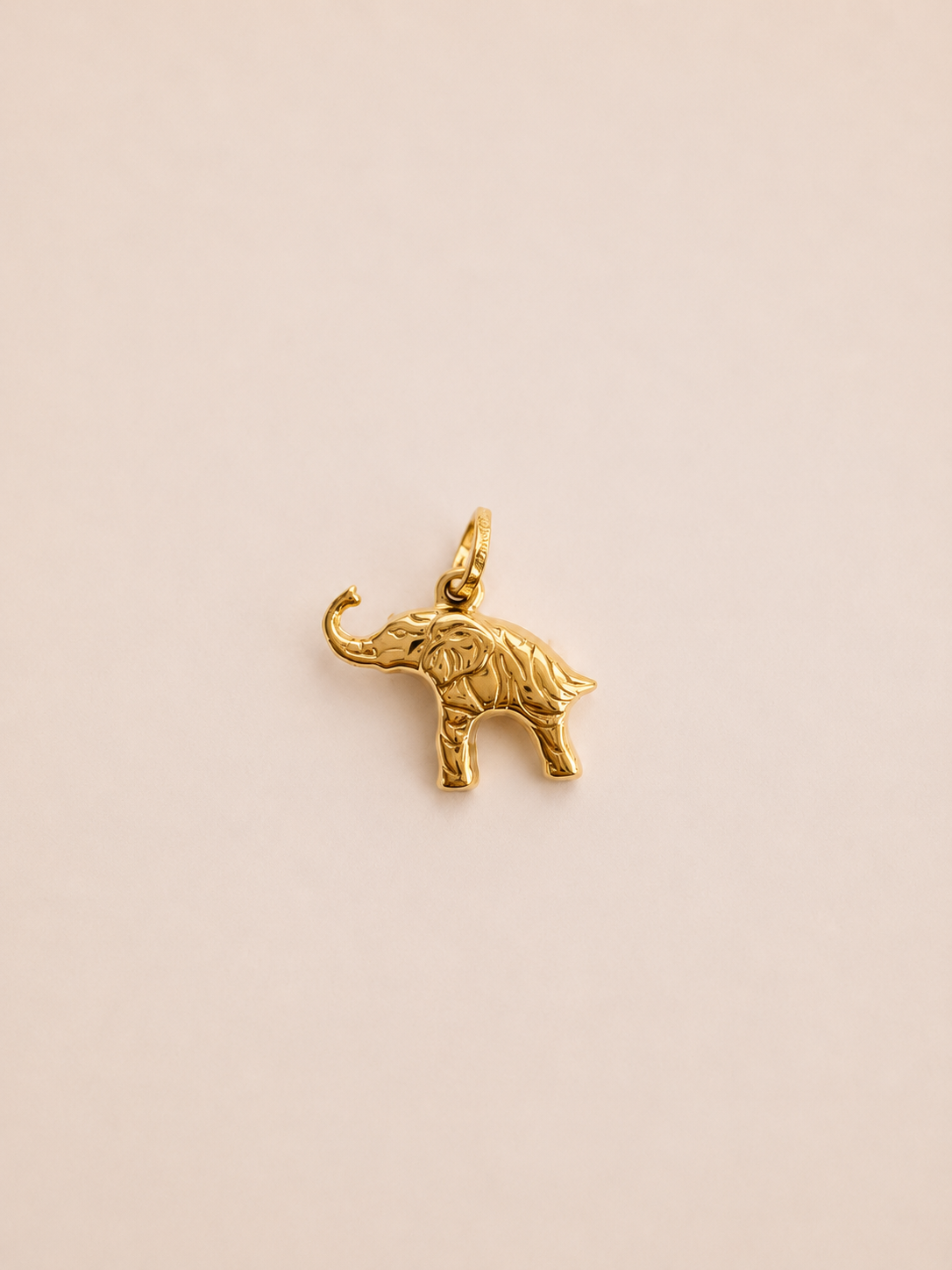 🐘 dije de elefante