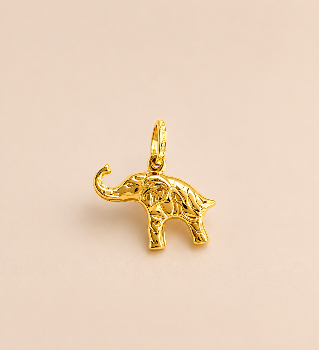 🐘 dije de elefante