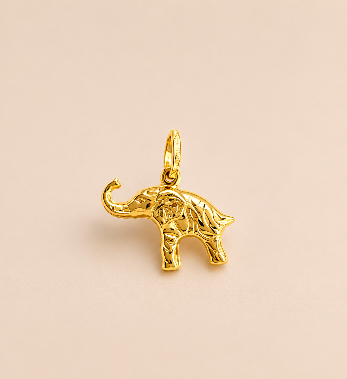 🐘 dije de elefante