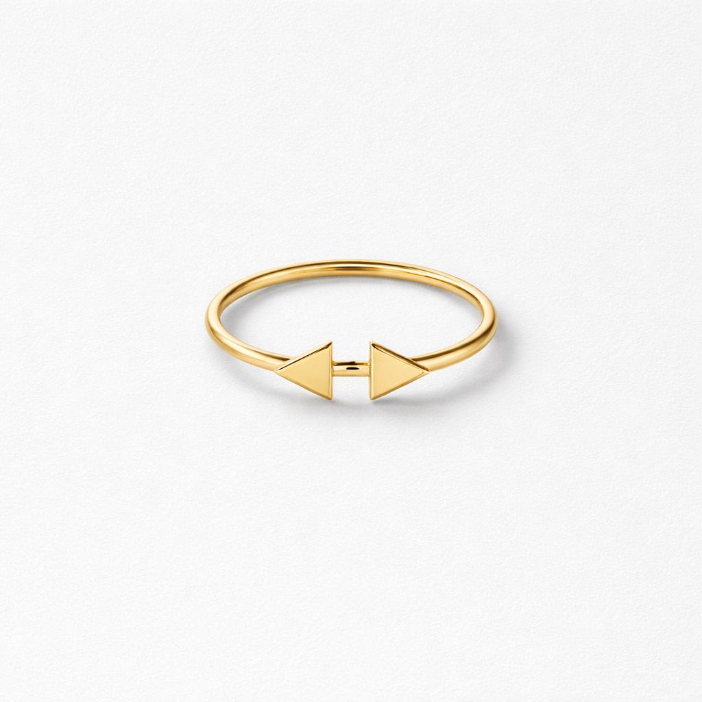 ✨ Double Arrow Ring ✨